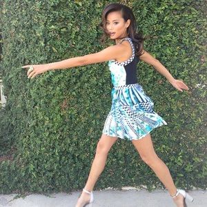 EUC Parker Selita Embroidered Fit & Flare Dress XS